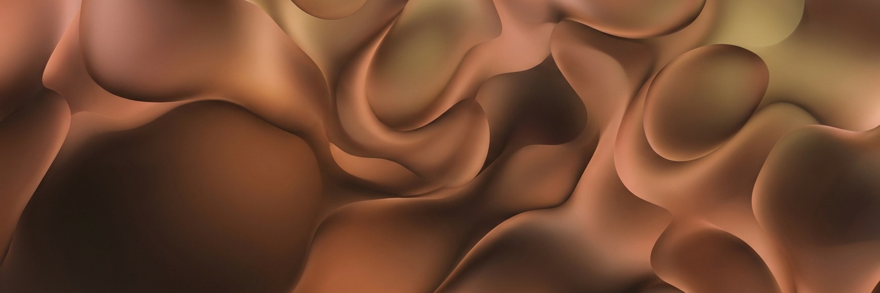 Home School Friday: Animals and Gradients