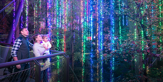 Garden Lights, Holiday Nights Member Premiere