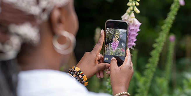 Smartphone Flower Photography