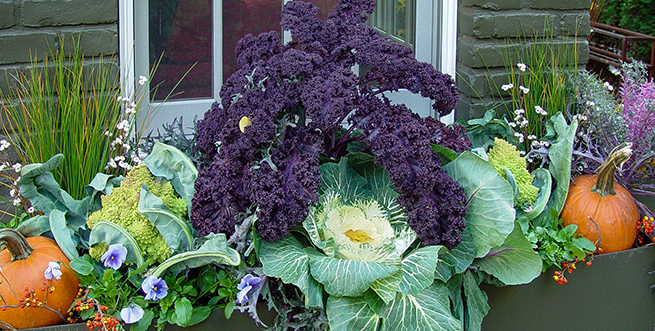 SOLD OUT: Edible Gardening in Small Spaces
